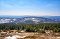 Snow and conifers in the Harz Mountains in winter Royalty Free Stock Photo