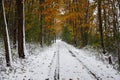 Snow on a Country Lane in Autumn