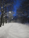 A snow-covered alley of a city park illuminated by lanterns. Royalty Free Stock Photo