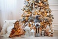 Snow Covered Artificial Christmas Tree with Golden Christmas Toys. Wooden Children`s Horse