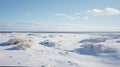 Snow Covered Beach With Ocean View: Prairiecore Inspired Landscape Photography Royalty Free Stock Photo