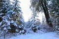 Snow covered beautiful old American rustic country side landscape with bridge, trail and water canal. Peaceful and inspiring Royalty Free Stock Photo