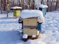 Snow covered bee hives in Romania