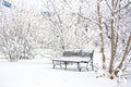 Snow covered bench in a deserted park. Winter. Russia Royalty Free Stock Photo