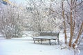 Snow covered bench in a deserted park. Winter. Russia Royalty Free Stock Photo