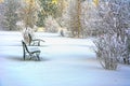 Snow covered bench in a deserted park. Winter. Russia Royalty Free Stock Photo