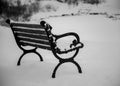 A snow covered bench peacefully resting in the park