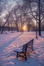 Snow covered bench on quiet forest path Royalty Free Stock Photo