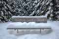 Snow covered bench in Rotary Park Royalty Free Stock Photo
