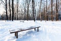 Snow-covered bench in urban park in winter Royalty Free Stock Photo