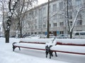 Snow-covered bench in city park at winter day. Beautiful winter photo Royalty Free Stock Photo