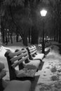 Snow covered benches