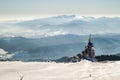 Snow covered bent little pine tree in winter mountains. Arctic l Royalty Free Stock Photo