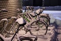 Snow-covered bicycles on the bicycle parking Royalty Free Stock Photo