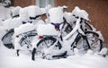 Snow covered Bikes Royalty Free Stock Photo