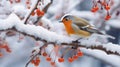 Snow-covered Bird On Branch With Red Berries