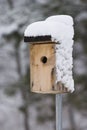 Snow covered bird house
