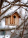 A snow-covered birdhouse hanging on a tree branch. Royalty Free Stock Photo