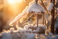 Snow covered birdhouse on sunny winter day. Bird feeder hanging from a tree. Wooden bird house with small bird sitting in it Royalty Free Stock Photo