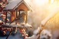 Snow covered birdhouse on sunny winter day. Bird feeder hanging from a tree. Wooden bird house with small bird sitting in it Royalty Free Stock Photo