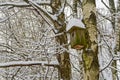 Snow-covered birdhouse