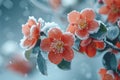 Snow covered blooms Winter gardeners preserving natures delicate beauty