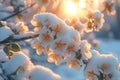 Snow covered blooms Winter gardeners preserving natures delicate beauty