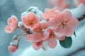 Snow covered blooms Winter gardeners preserving natures delicate beauty