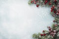 Snow-covered board frame framed by branches with red berries covered in frost. Copy space. AI-Generated