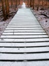 Midwest forest preserve winter trail Royalty Free Stock Photo