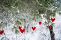 On the snow-covered branch of Christmas trees, Christmas decorations hang in the form of transparent balls, hearts of felt.