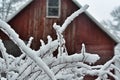 Snow covered branches with a red barn in the background. Royalty Free Stock Photo