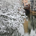 Snow covered branches- river Pegnitz- old town Nuremberg, Germany Royalty Free Stock Photo