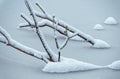 Snow-covered branches of a tree sticking out of the frozen river in winter Royalty Free Stock Photo