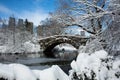 Snow covered bridge in Central Park in New York Royalty Free Stock Photo