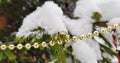 Snow-covered bright and multi-colored Christmas tree decorations on a snowy New Year tree with green needles in a winter country g Royalty Free Stock Photo