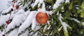 Snow-covered bright and multi-colored Christmas tree decorations on a snowy New Year tree Royalty Free Stock Photo