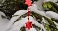 Snow-covered bright Snow-covered bright and multi-colored Chrand multi-colored Christmas tree decorations on a snowy New Year tree Royalty Free Stock Photo