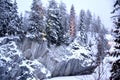 Snow-covered canyon with forest lighting, winter landscape