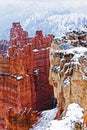 The snow covered canyons of Bryce Canyon Royalty Free Stock Photo