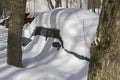 Snow covered the cars parked near the house. Royalty Free Stock Photo