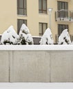 Snow covered cement wall, bushes and ground