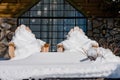 Snow Covered Chairs