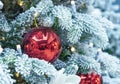 Snow-covered Christmas tree decorated with red balls and a garland