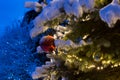 Snow covered christmas tree detail outdoor, with lights and red glossy ball x-mas ornaments. Royalty Free Stock Photo