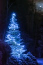 Snow covered Christmas tree with magic bright blue lights in dark winter forest. Bright moon in the night sky