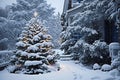 Snow Covered Christmas Tree stands out brightly Royalty Free Stock Photo