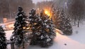 Snow-covered Christmas trees Royalty Free Stock Photo