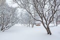 Snow-covered city square. After the snowfall there is a lot of snow and big snowdrifts