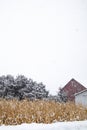 Snow covered cornfield next to a barn in a February snowstorm in Wausau, Wisconsin